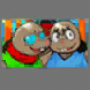 cas_lux_picture.png